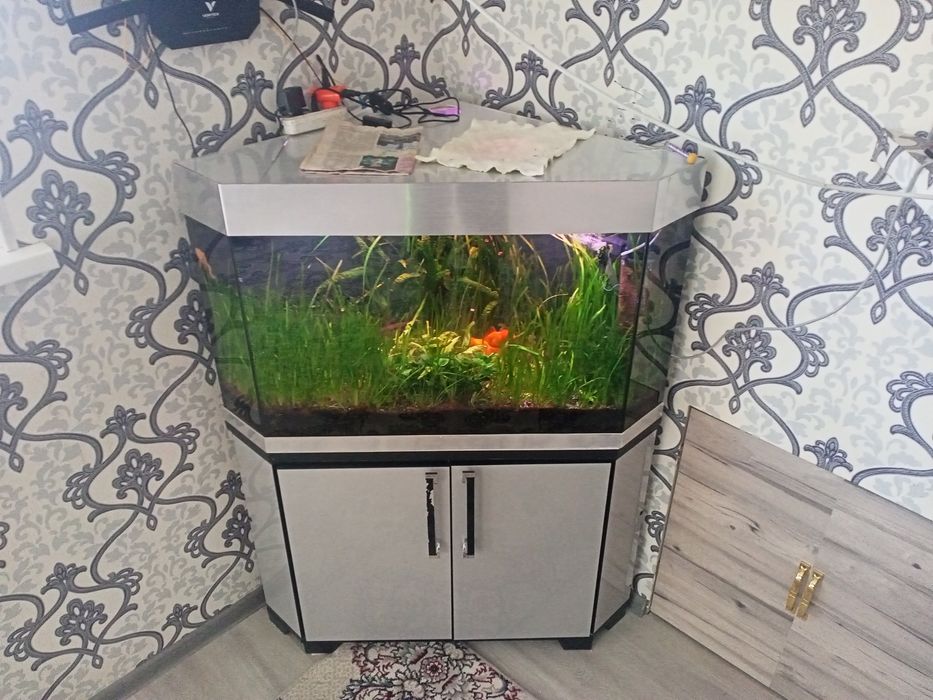 Продаётся акварюм