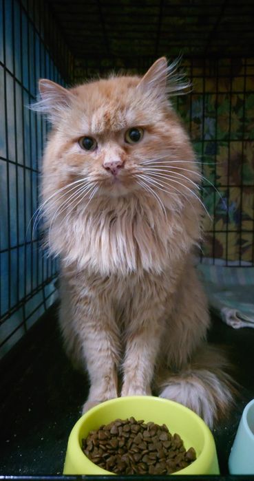 В самые добрые ручки