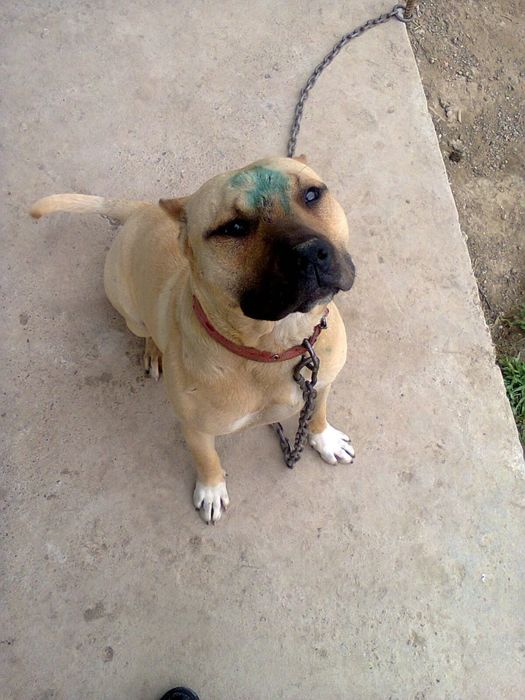 Обмен обмен обмен