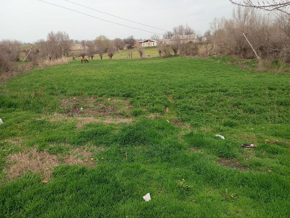 Koʻchmas mulk tayyor dala hovli