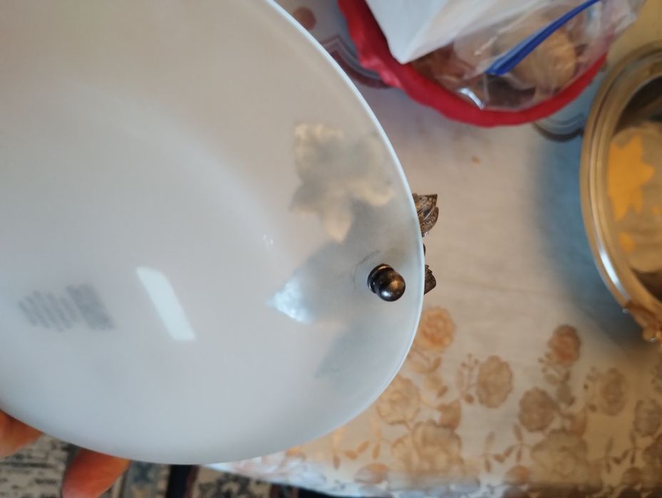 Farfurie sticla venetia