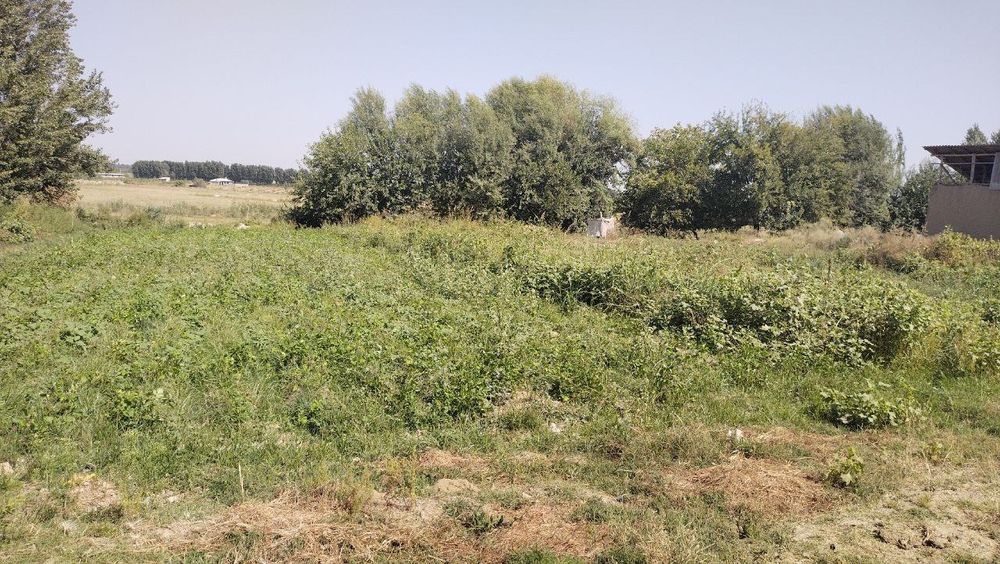 Uchastka xalqoboddan 30 sotik