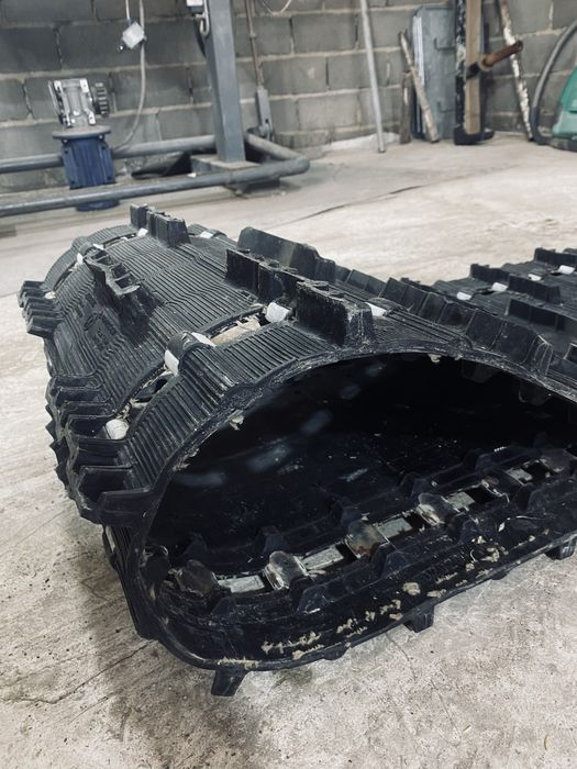 Компазит гусиница