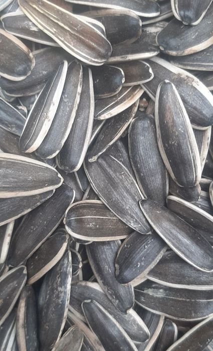 Семичка сотилади