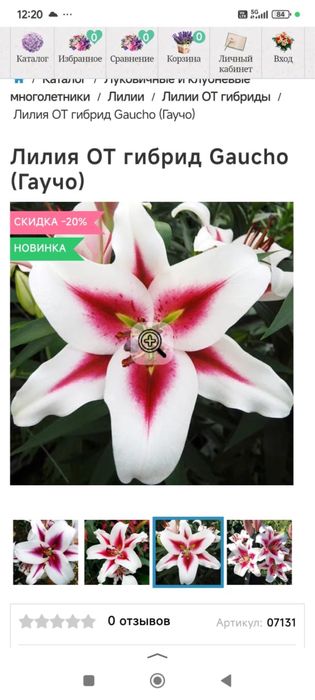 Лилии 10 сортов 1500