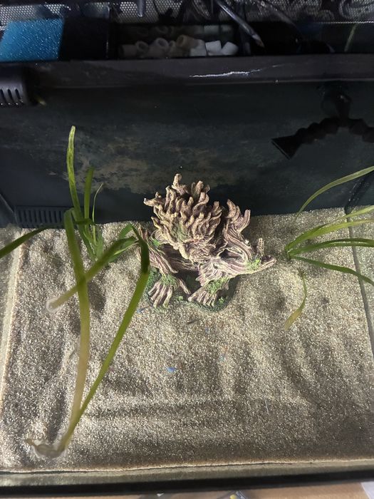 Аквариум 60 литра HAGEN