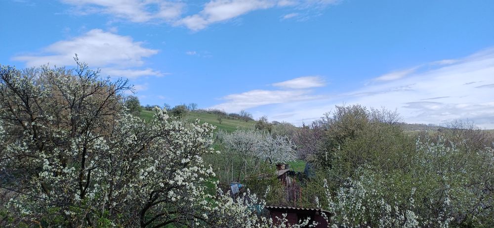 De vanzare casa in Sibiu cu 585 mp teren