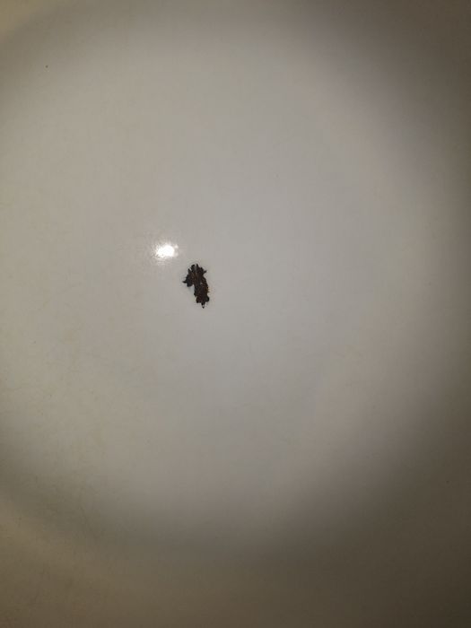 Продам ванну самовывоз