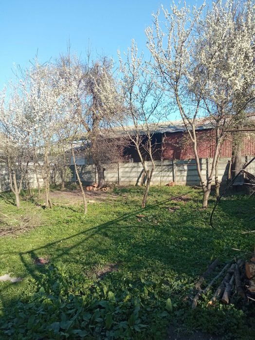 Casă de vânzare, Mureșeni, str. Dezrobirii