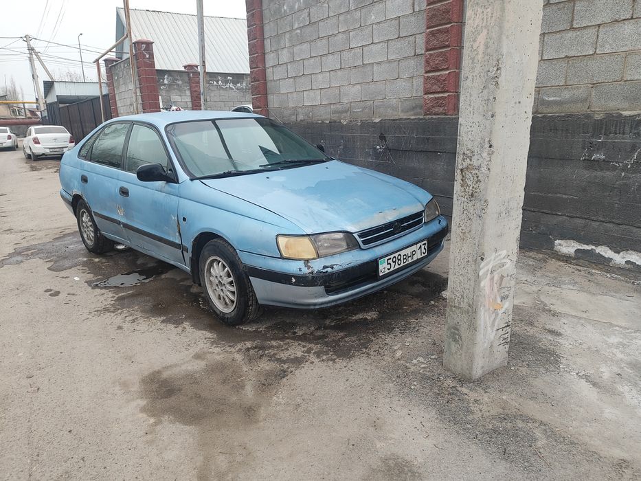 Карина Е Karina E