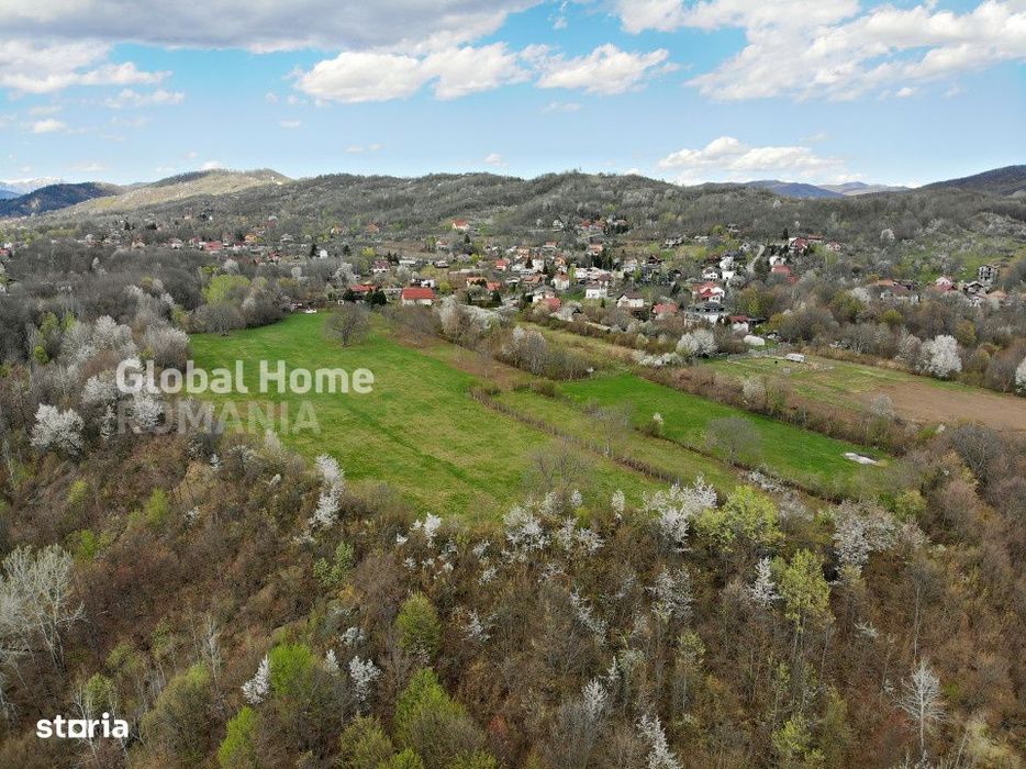 Mountain Plateau - 23.345 SQM - Exclusive Estate | Jud Prahova - Valea