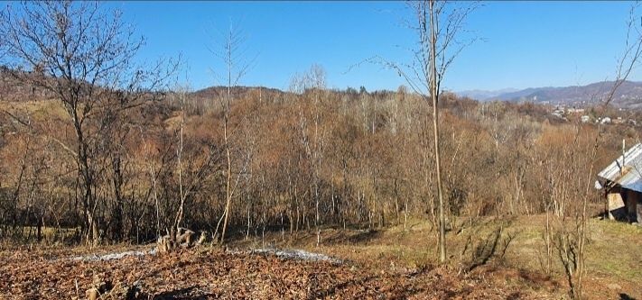 Teren Poiana Campina