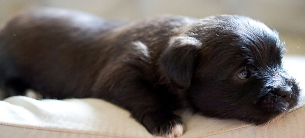 Милая симпатичная  девочка