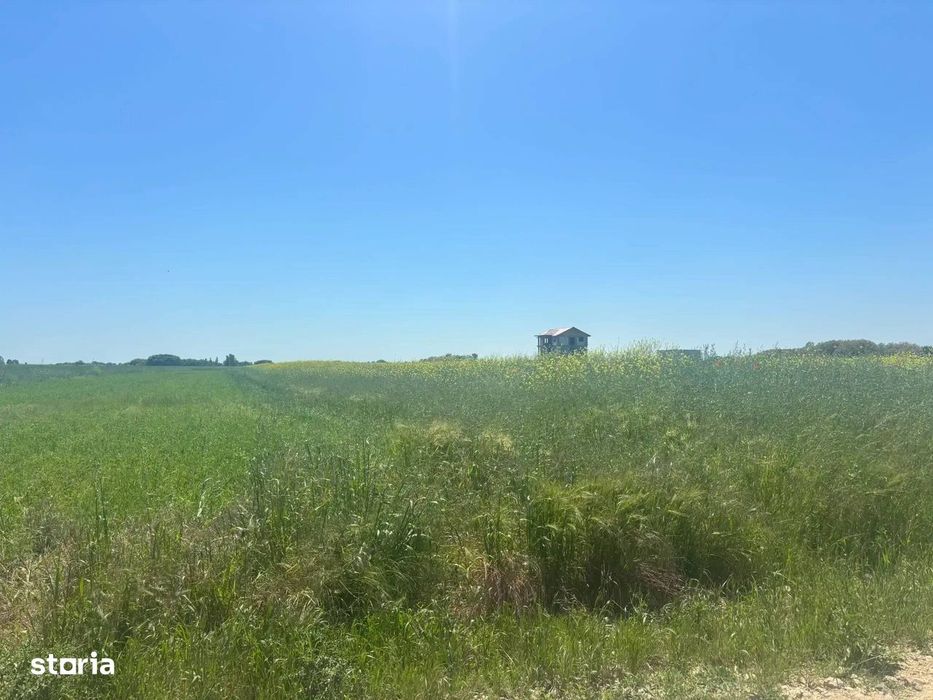 Loturi teren 500 m P+1+M Berceni - Vidra Actele la zi Puz valabil