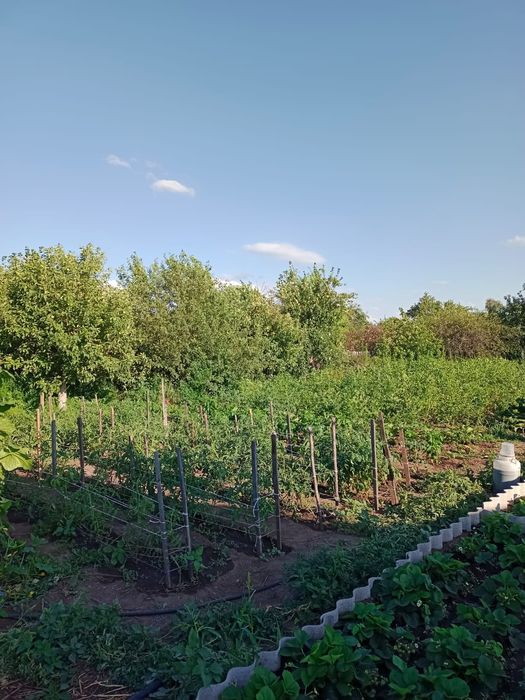 Срочно продам дачу в Ягодке