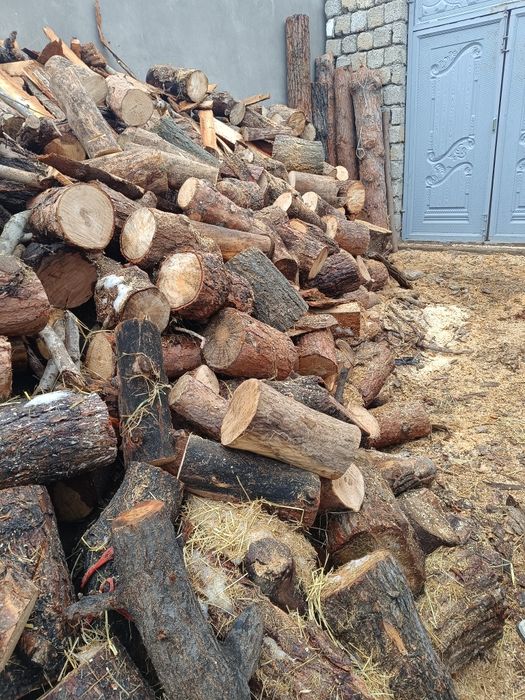 otin otin sotiladi mevali