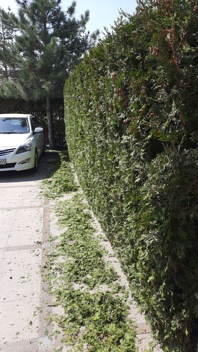 Садовник с опытом работы более 7 лет