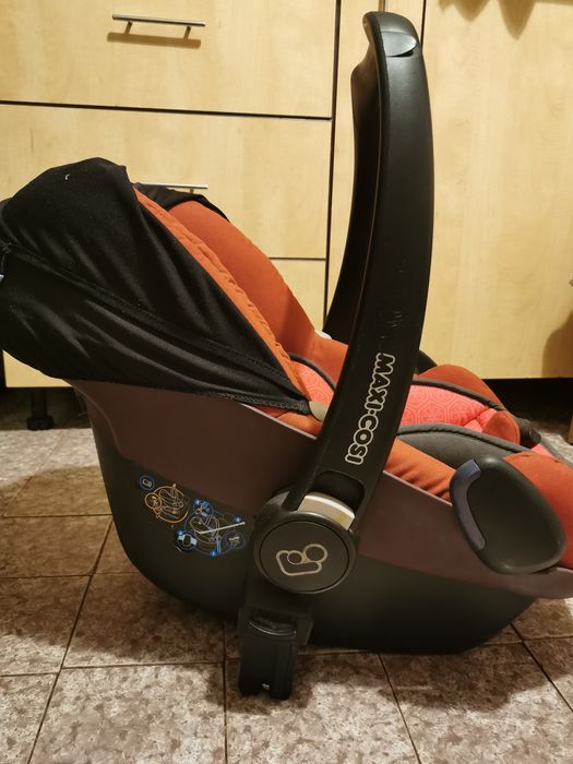 Scoică bebeluși pebble