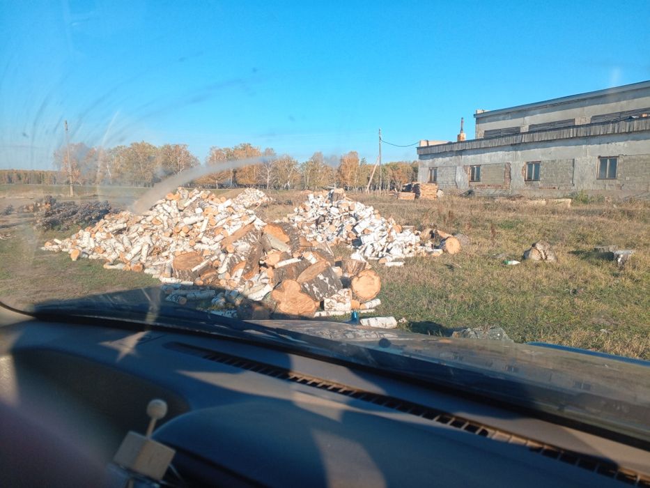 Дрова берёзовые.