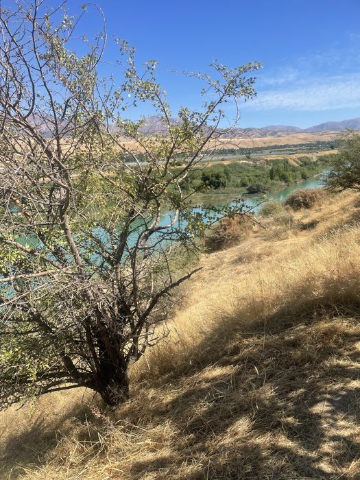 Yer sotiladi 6 sotix Bostonliq tumani