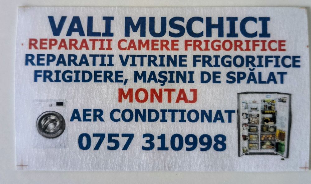 Reparatii frigidere,mașini de spălat !
