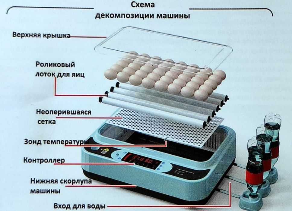 Инкубатор для перепелов своими руками