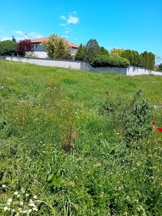 Vand teren intravilan in Techirghiol