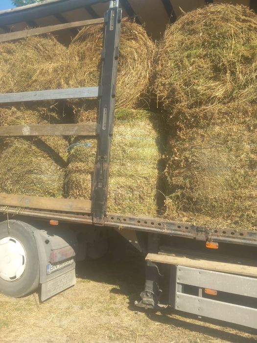 Baloti Lucerna sau fan Livrare la TIR min 40 rotunzi sau 500 dreptunghiulari Transport inclus RO HU Nu dam la bucata  szénabálák
