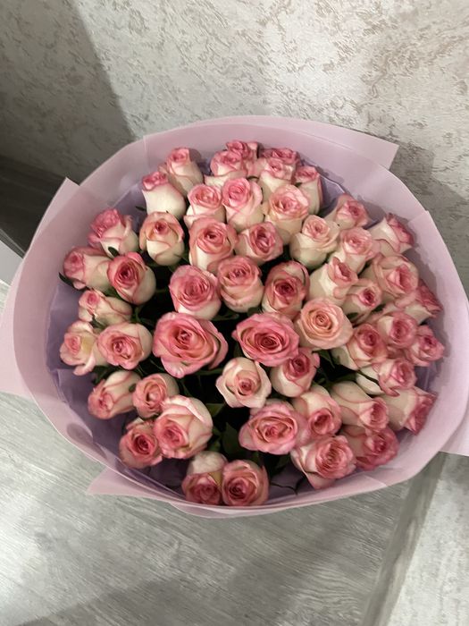51 штук розы свежие