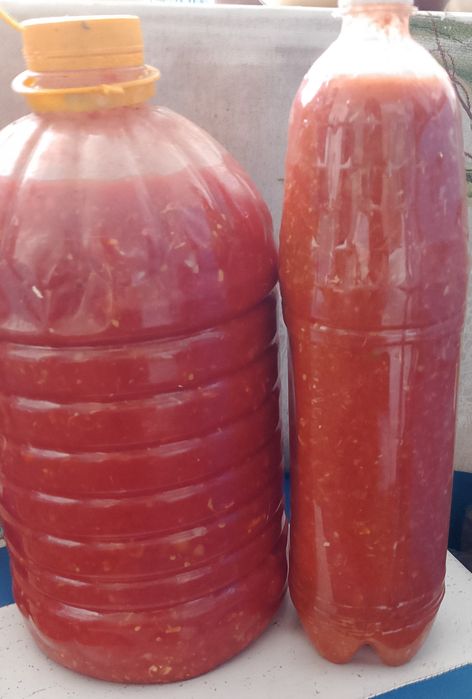 Кобра домашняя острая