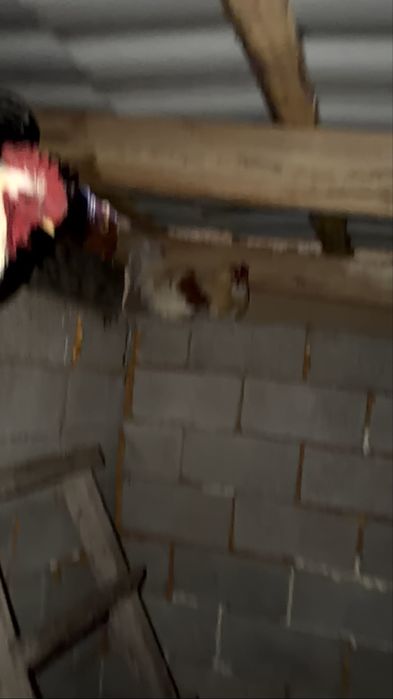 Кораздар сатылады тез арада