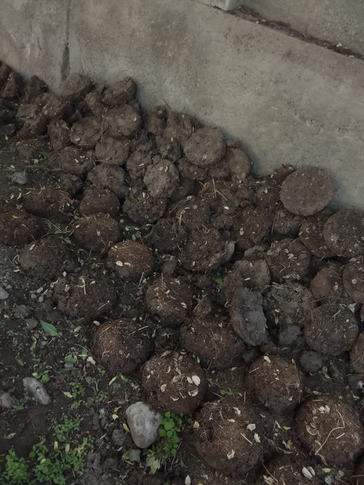 Тезек сатылады құйылған