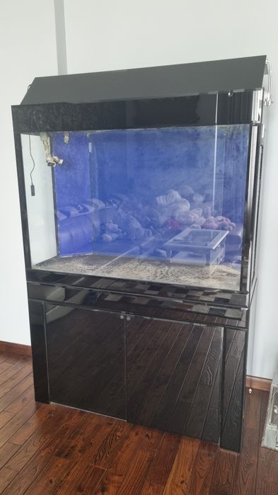 Acvariu superb 400L + sump 100L
