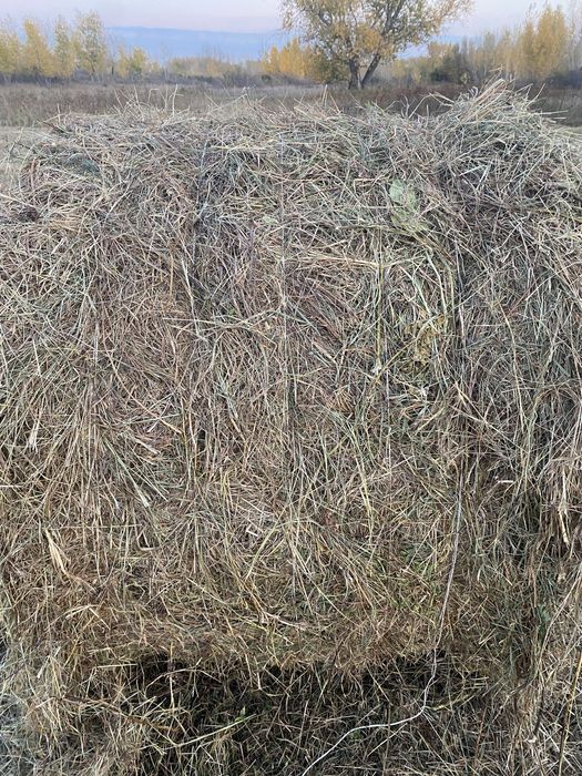 Продам Рулоны Луговые!!