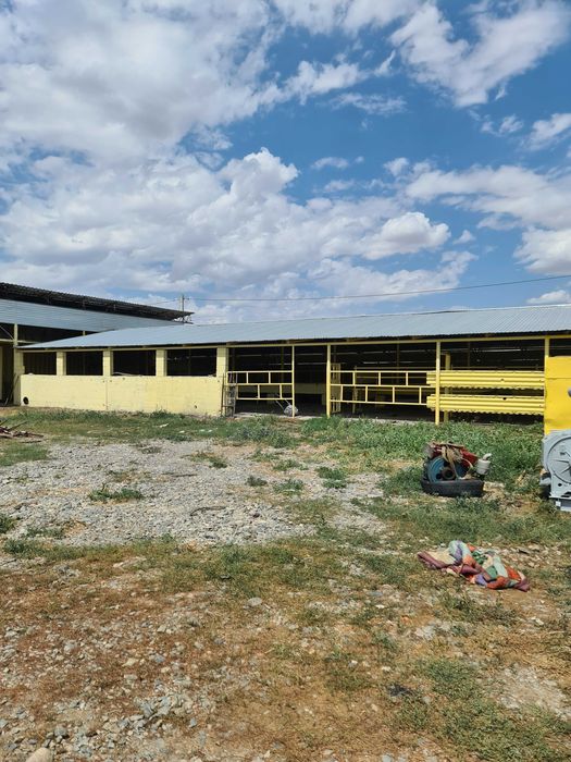 Откормочная база