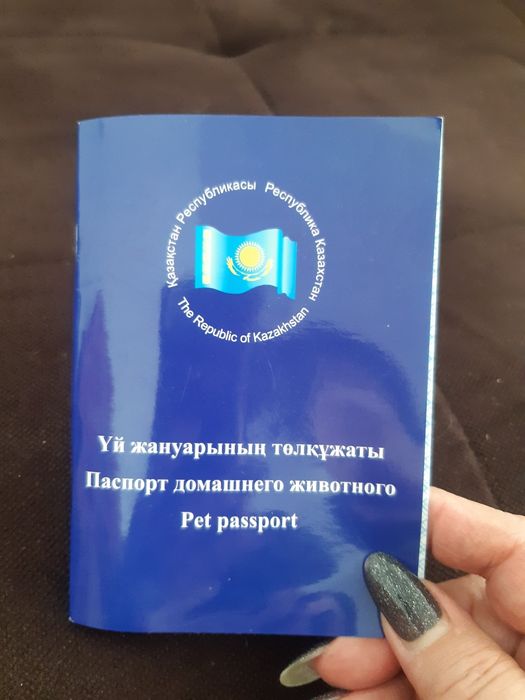 Собака пристраивается