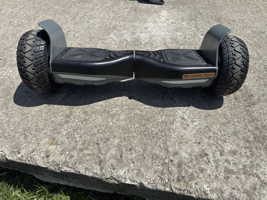 Hoverboard Monkey Board