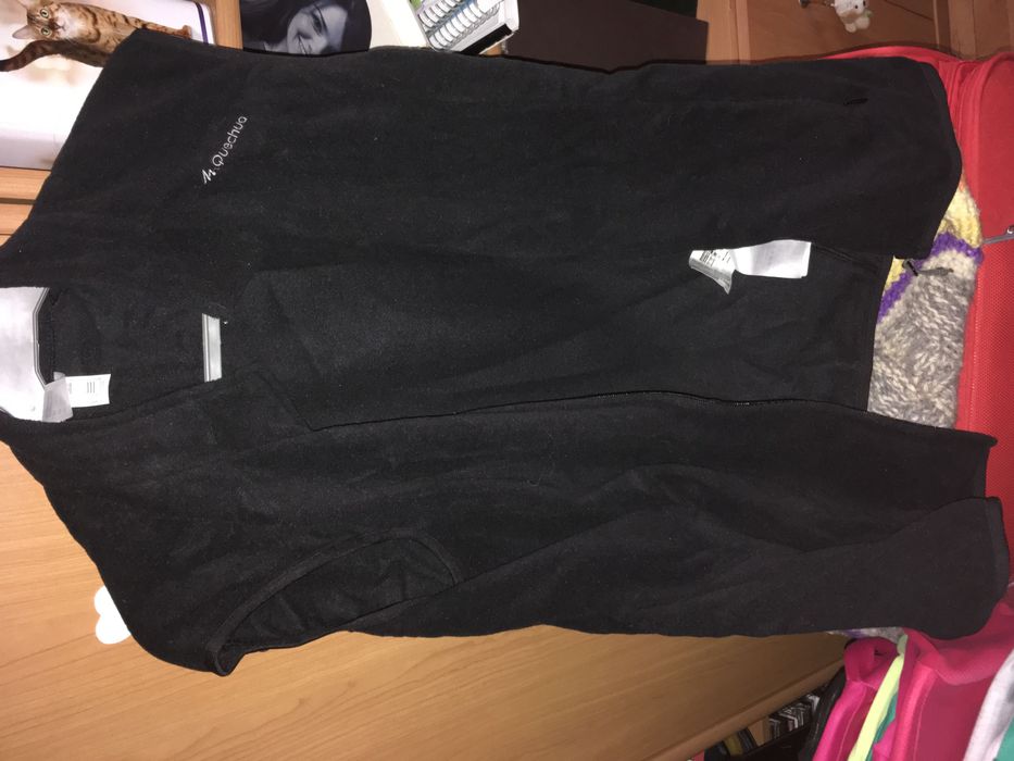 Vesta polar decathlon