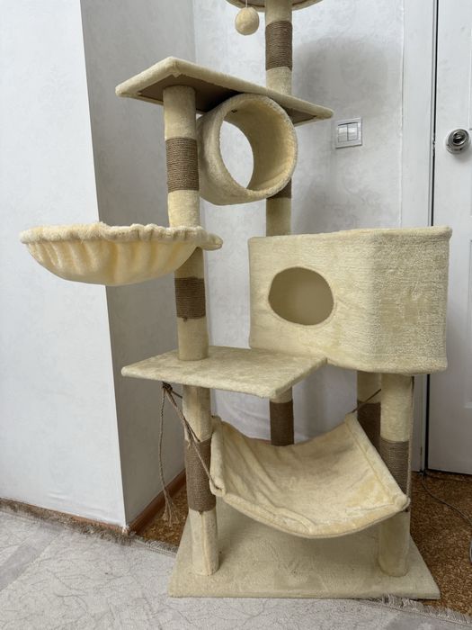 Дом для кошачьих (кошек)