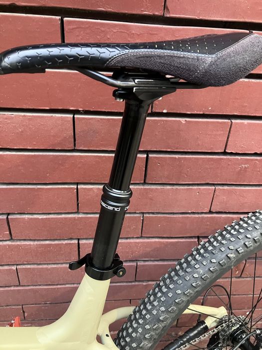 Custom bike 29 boost