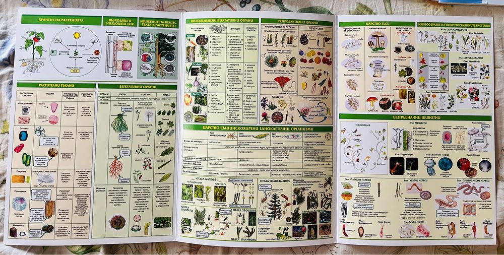 Учебници и учебни тетрадки за 7 и 8 клас