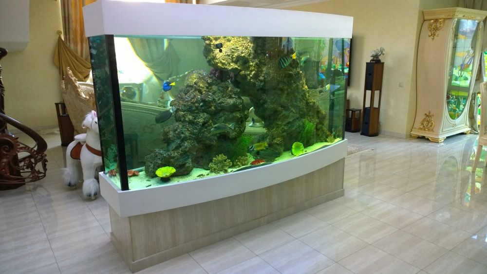 Аквариумы под заказ, любого размера и формата