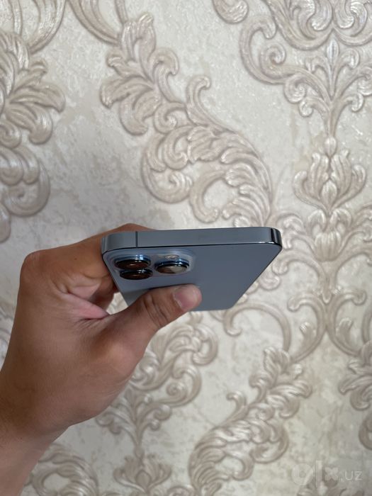 Iphone 13 pro max ideal