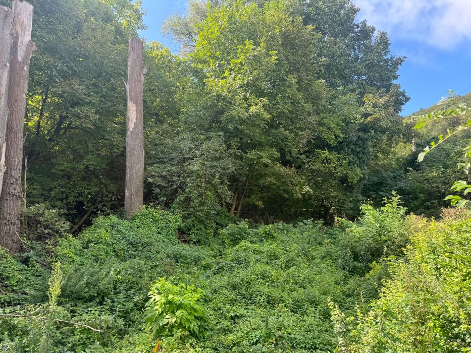 Продава се Къща в София, Орландовци - 1175 кв.м за 49 €/кв.м - Снимка #10