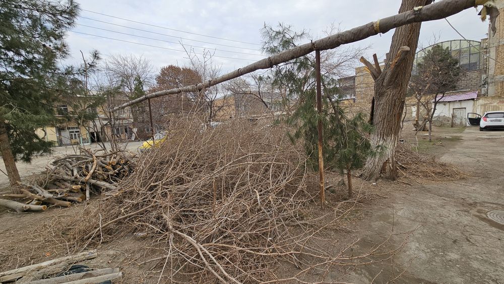 Утин сотилади, хезум, дрова