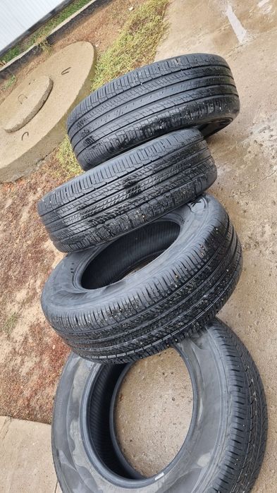 Продам ризина отличном состоянии