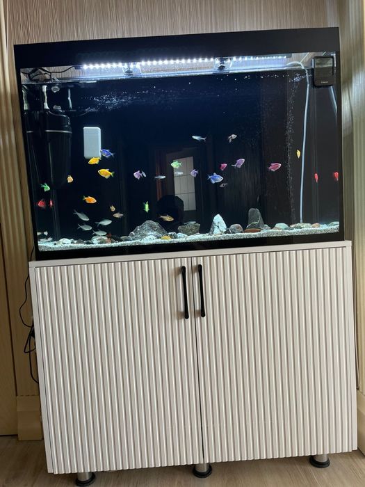 Аквариум с рыбками