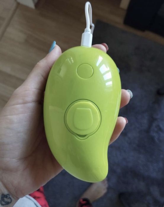 Четка на пара за домашни любимци