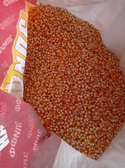 Кукуруза попкорн лущенная