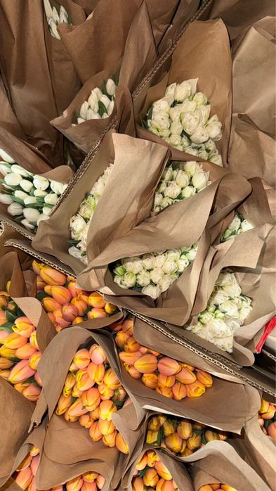 Тюльпаны оптом/розница (Принимаем предзаказы на тюльпаны)